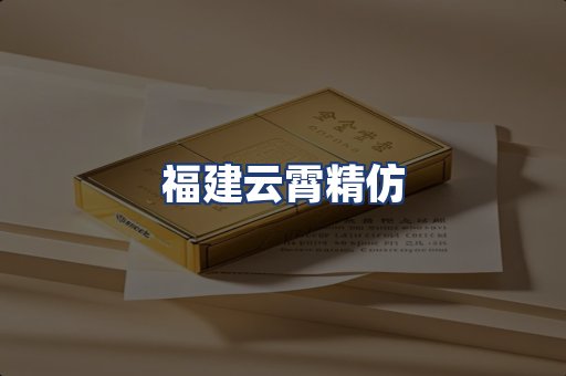 福建云霄精仿